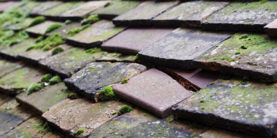 Gwalchmai roof repair costs